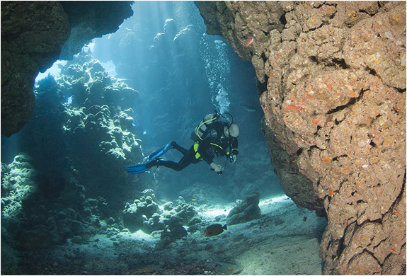 dunbar diving